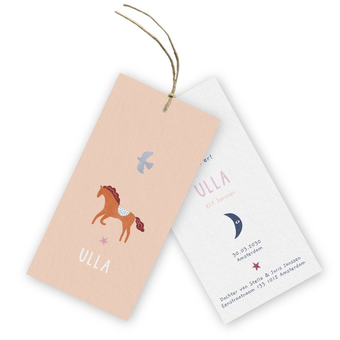 Geboortekaartje labels Ulla paardje - Froukje den Nijs