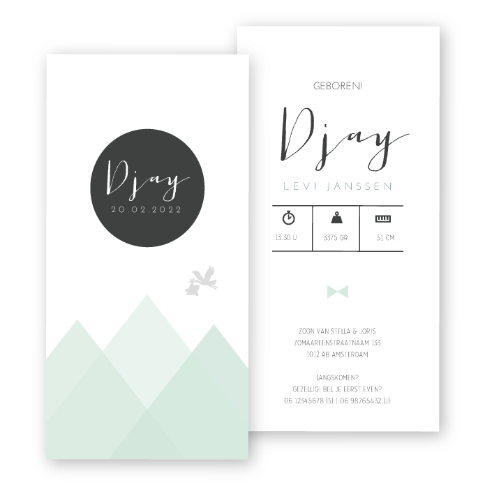 babykaart jongetje met strakke bergen en ooievaar