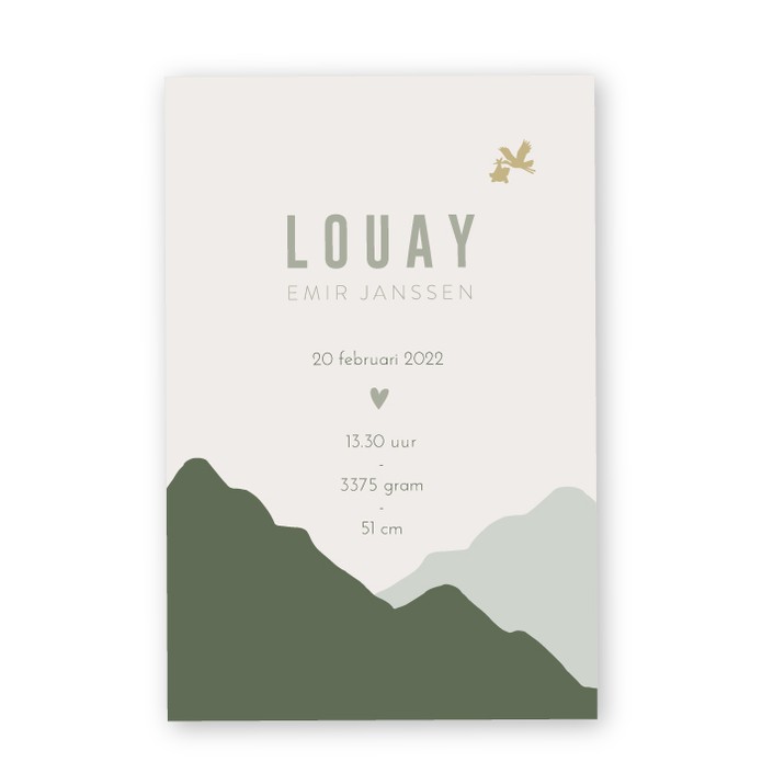 Geboortekaartje groen karton