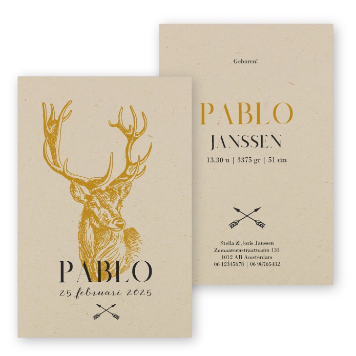 Geboortekaartje duurzaam hert Pablo