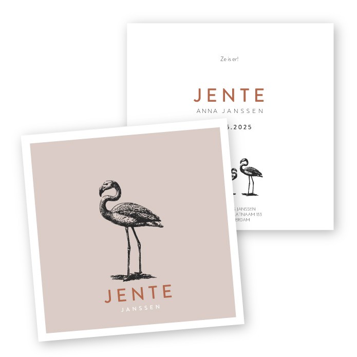 Babykaartje karton flamingo