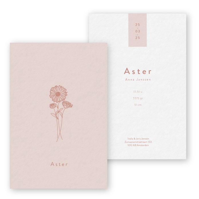 Geboortekaartje september Aster