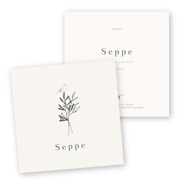 Geboortekaartje strak takje