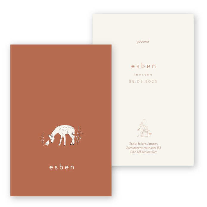 Geboortekaartje schattig hertje