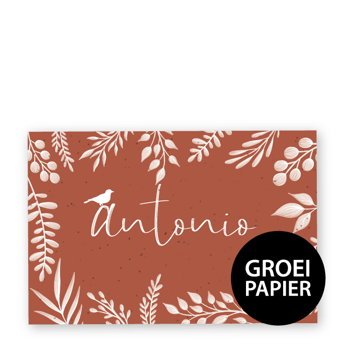Groeipapier botanisch Antonio