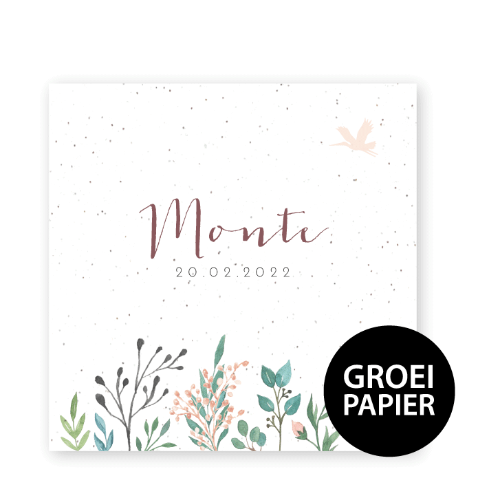 Geboortekaartje groeipapier Monte