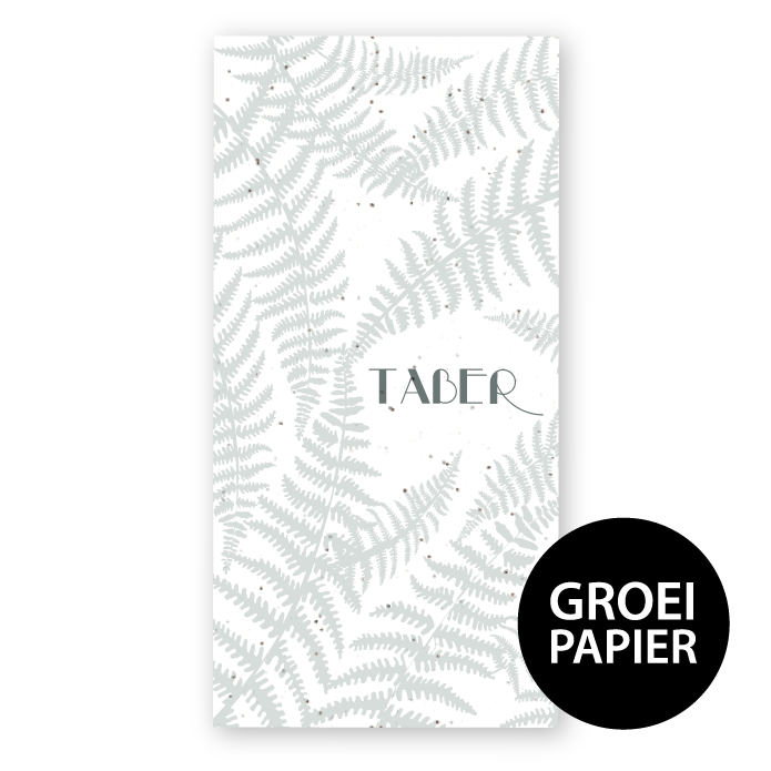 Geboortekaartje groeipapier varens Taber