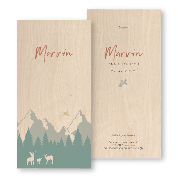 Geboortekaartje Hout Marvin