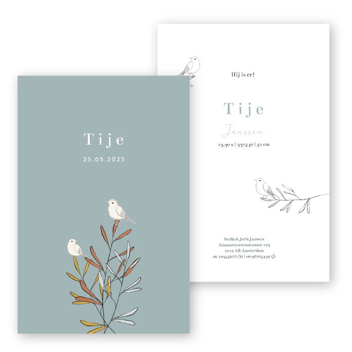 Babykaartje strak takjes