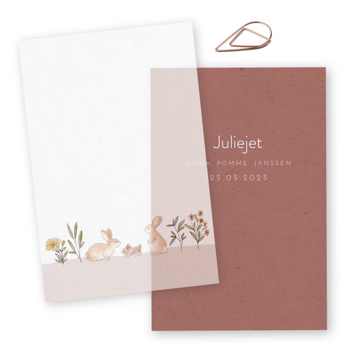 Geboortekaartje kalkpapier Juliejet