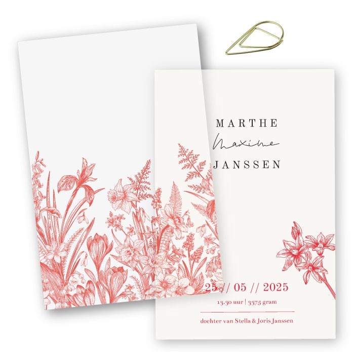 Geboortelabels kalk wilde bloemen