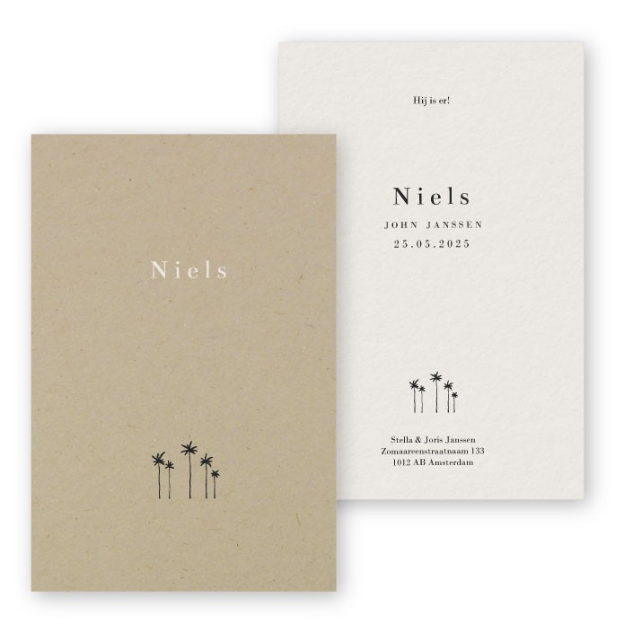 Geboortekaartje palmboom karton