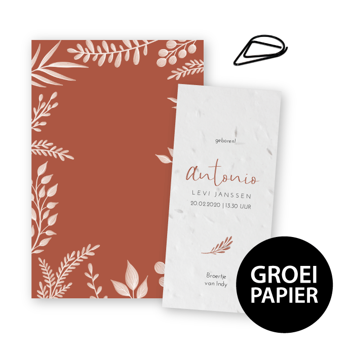Geboortekaartje label groeipapier varens Antonio