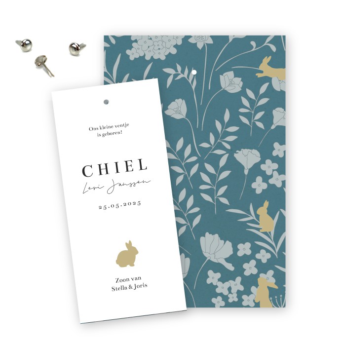 Geboortekaartje klembord konijntjes Chiel