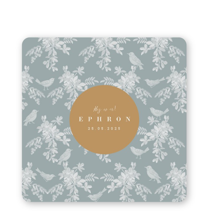 Babykaartje vogels bloemen