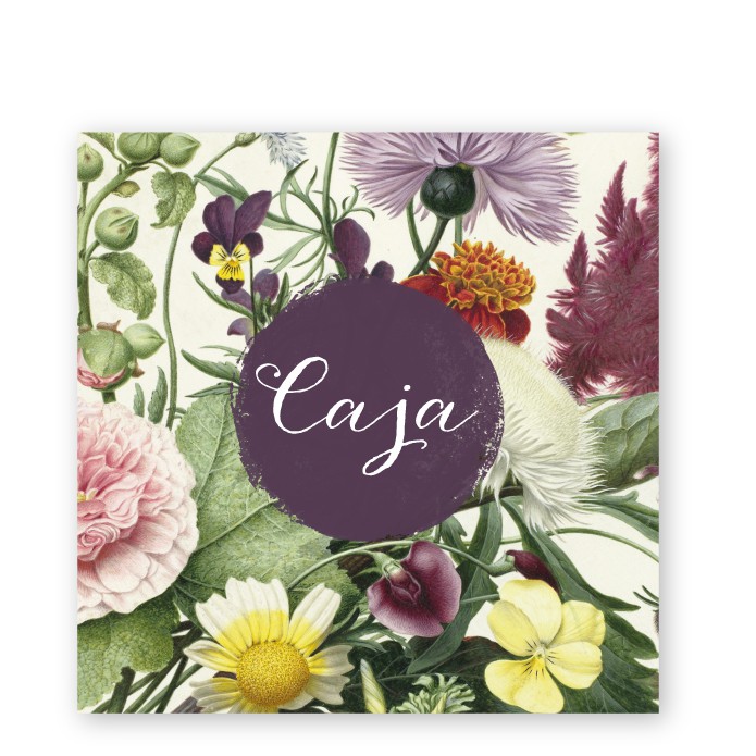 Geboortekaartje museum schilderij Caja