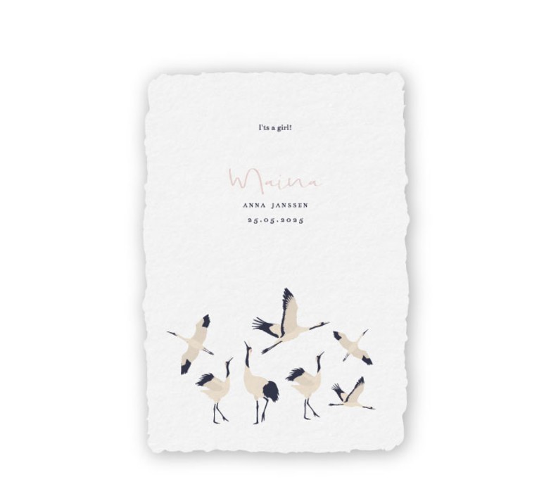 Geboortekaartje handgeschept kraanvogels