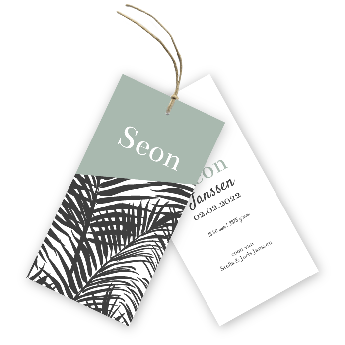 Label geboortekaartje botanische palm bladeren Seon