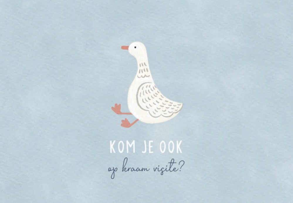 Mini kraamkaartje Gansje - Liggend