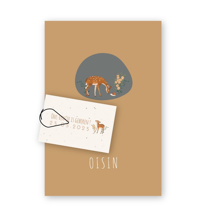 Minilabel groeipapier liggend Oisin